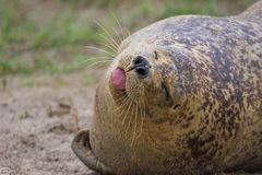 Besuch in Friedrichskoog