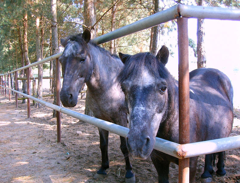 Besuch in Germendorf II