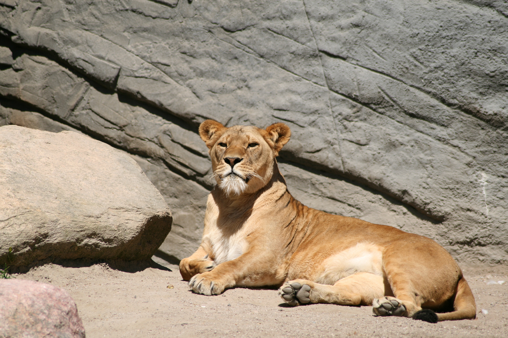 Besuch in Hagenbecks Tierpark