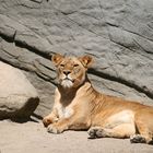 Besuch in Hagenbecks Tierpark