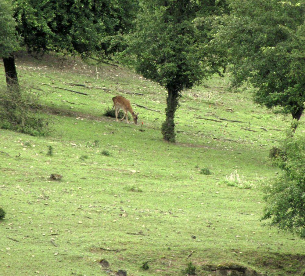 Besuch in Luxemburg