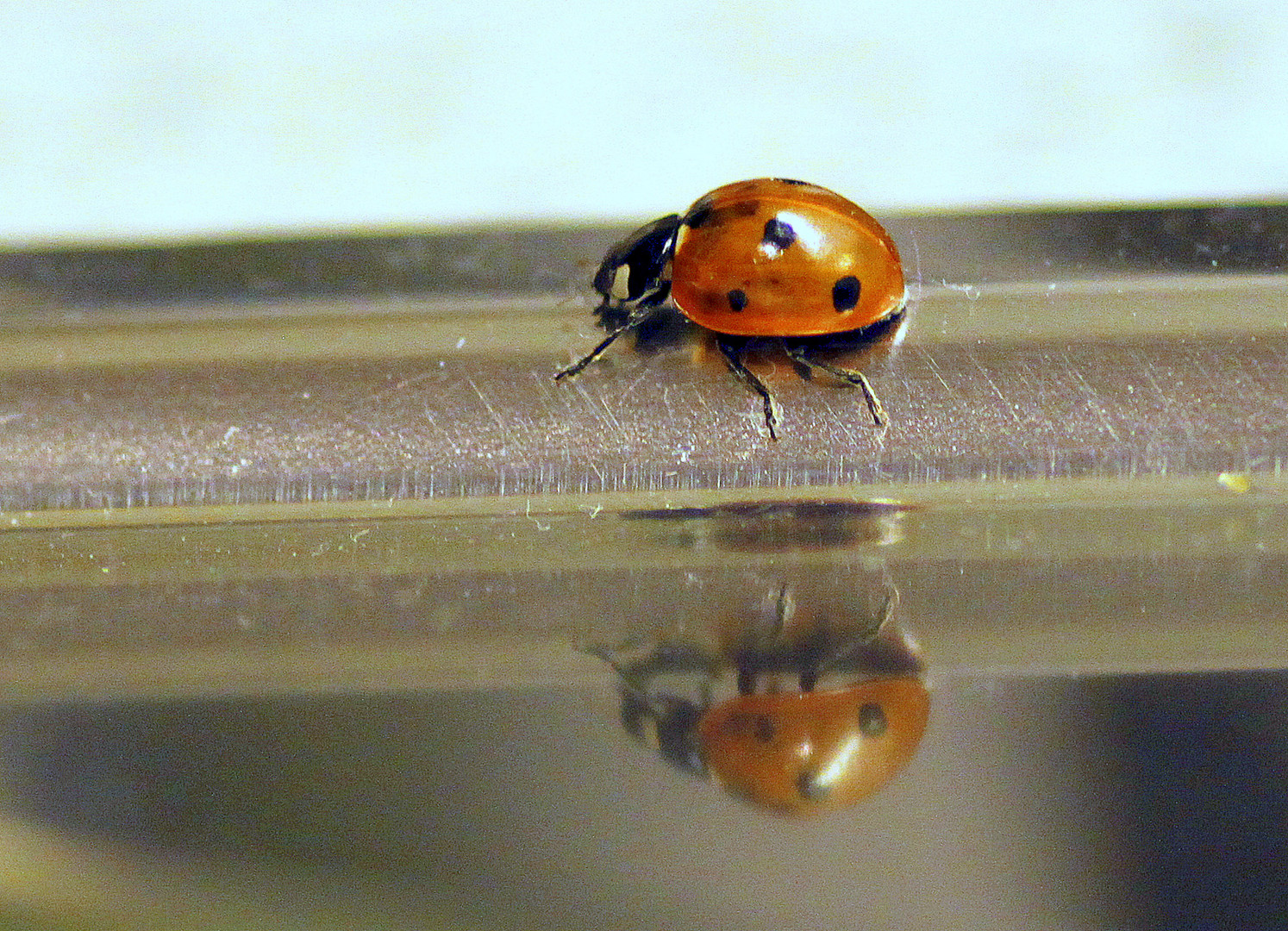 Besuch in meiner Küche