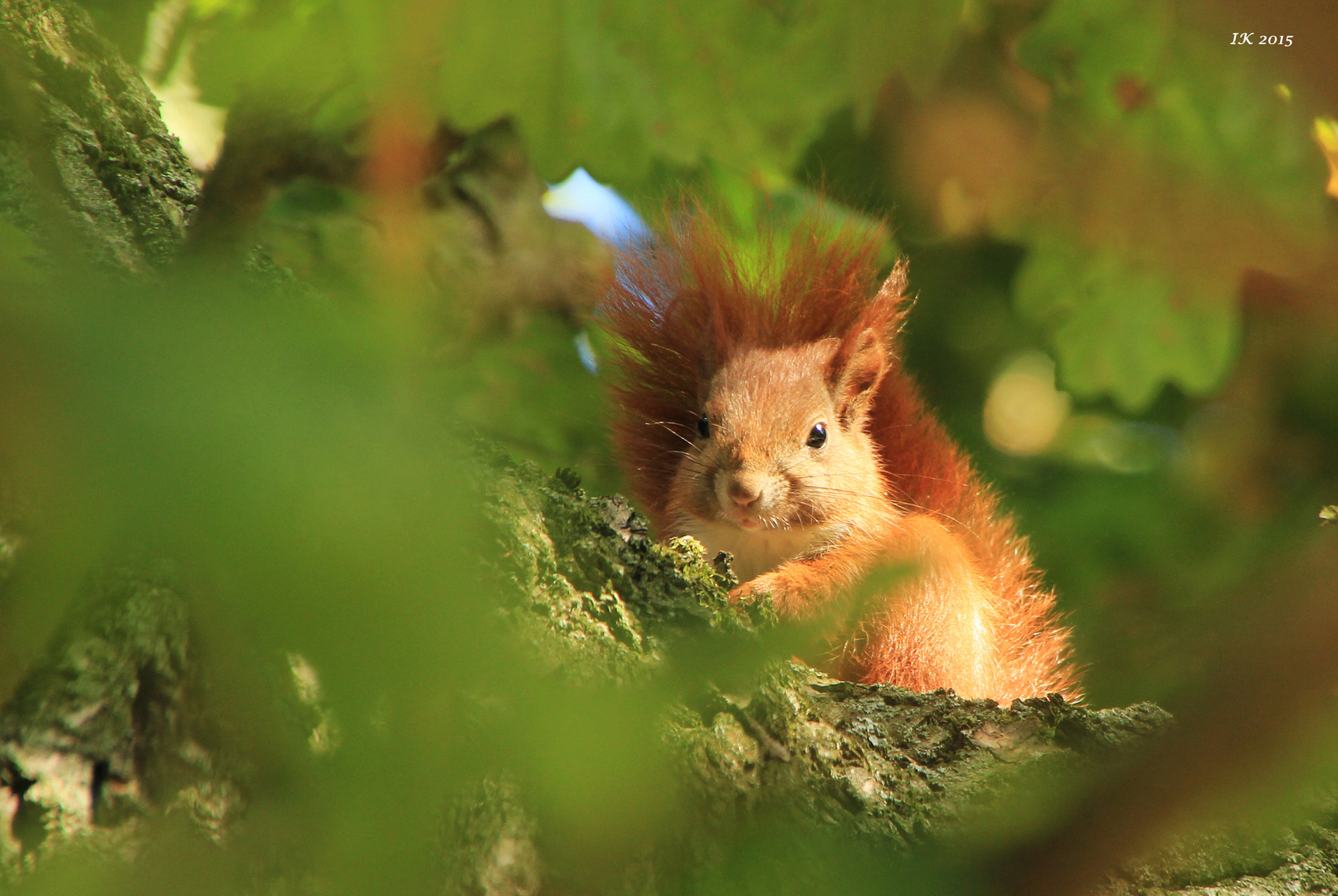 Besuch in unserem Garten