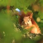 Besuch in unserem Garten