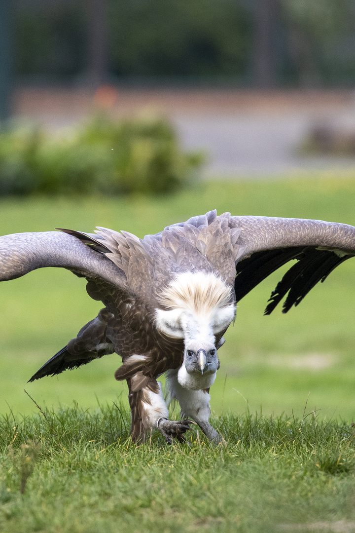 Besuch in Walsrode