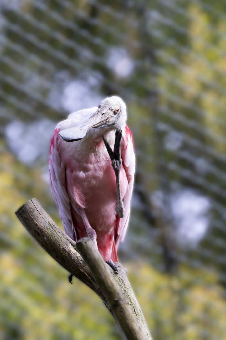 Besuch in Walsrode