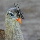 Besuch Schönbrunn