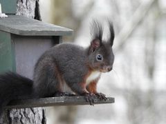 Besuch um 11.00 Uhr