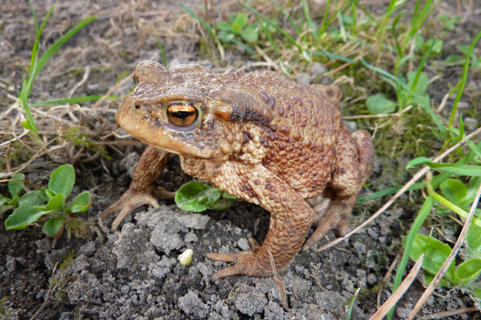 Besuch vom letzten Wochenende