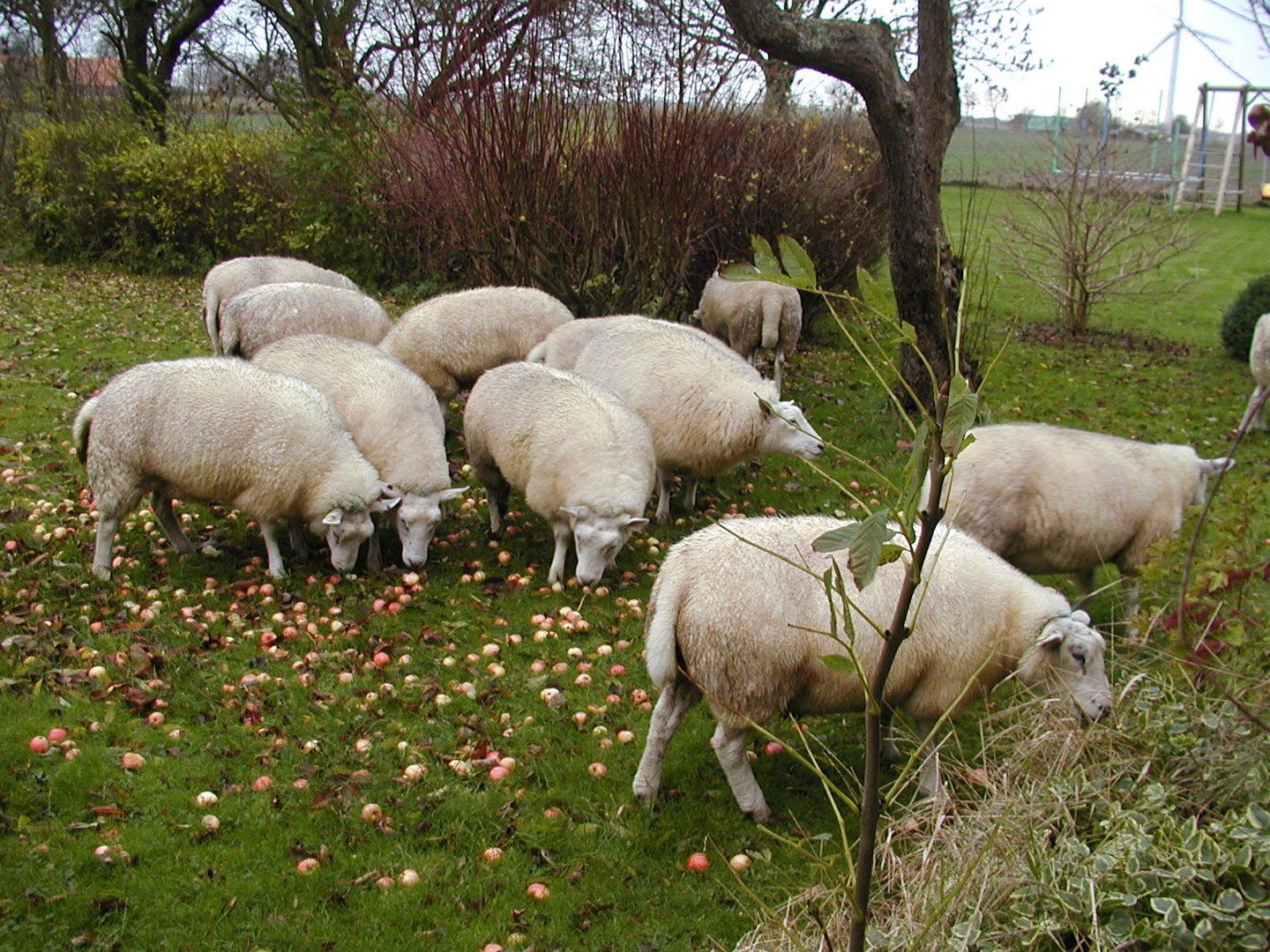 Besuch von meinen "Nachbarn"