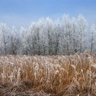 Besuch von Väterchen Frost.