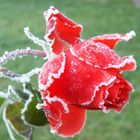 Besuch von Väterchen Frost