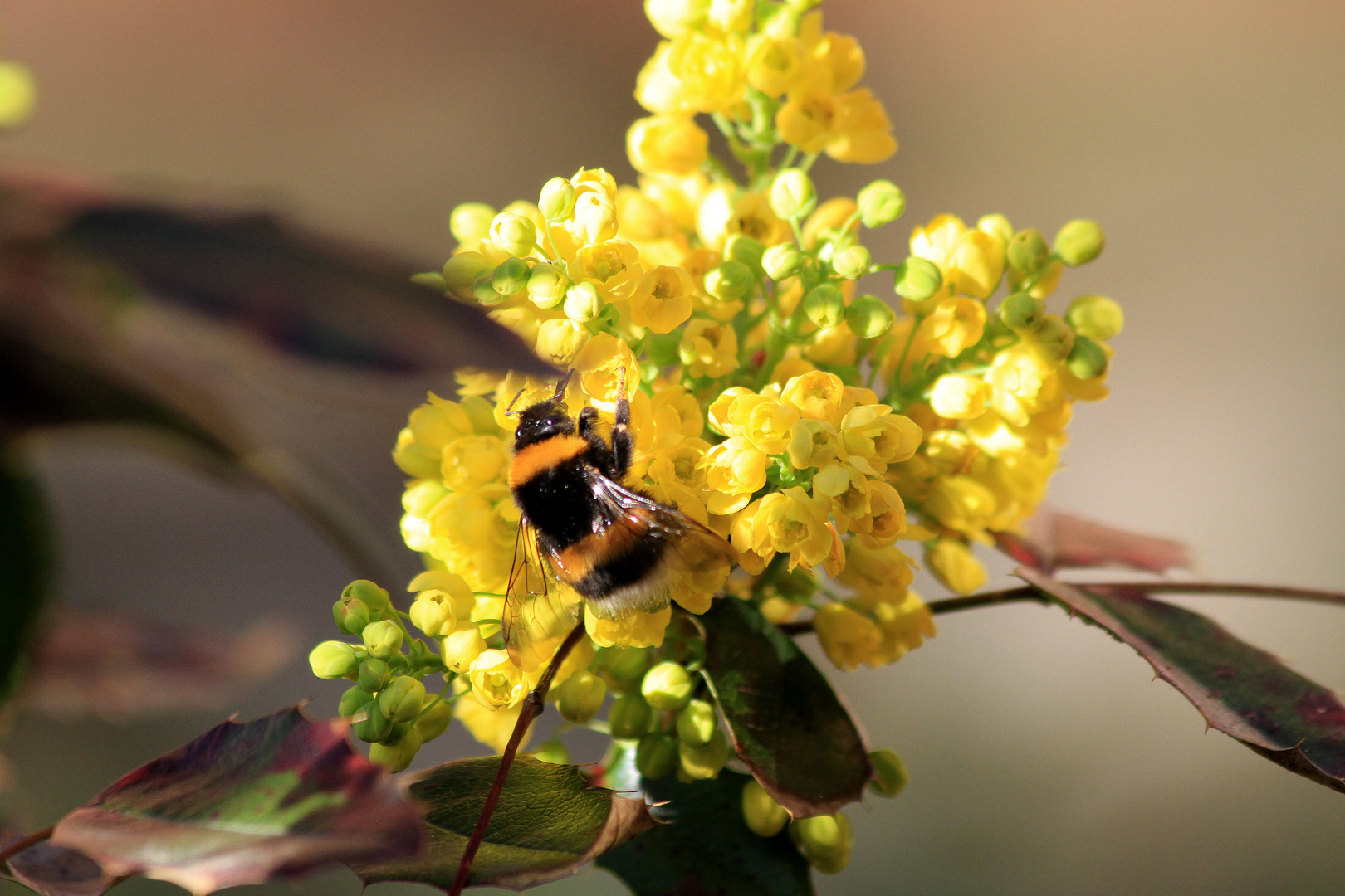 Besuch zu Ostern