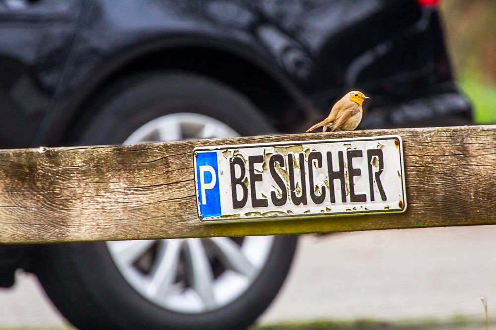 Besucher