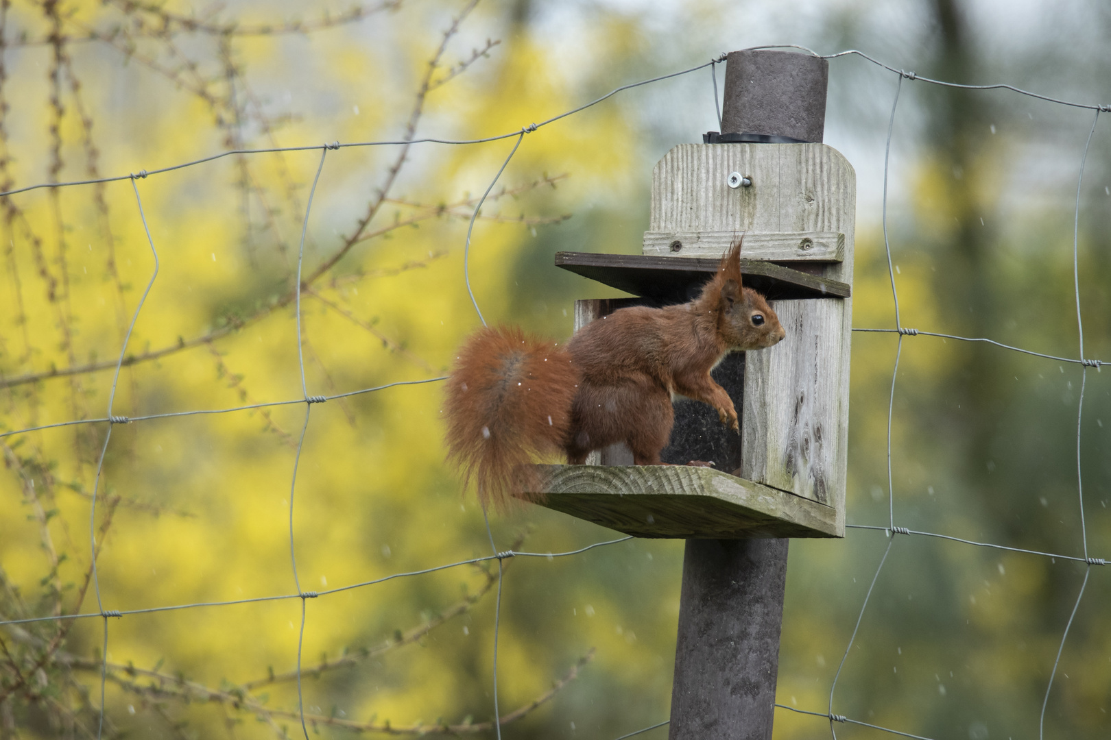 Besucher