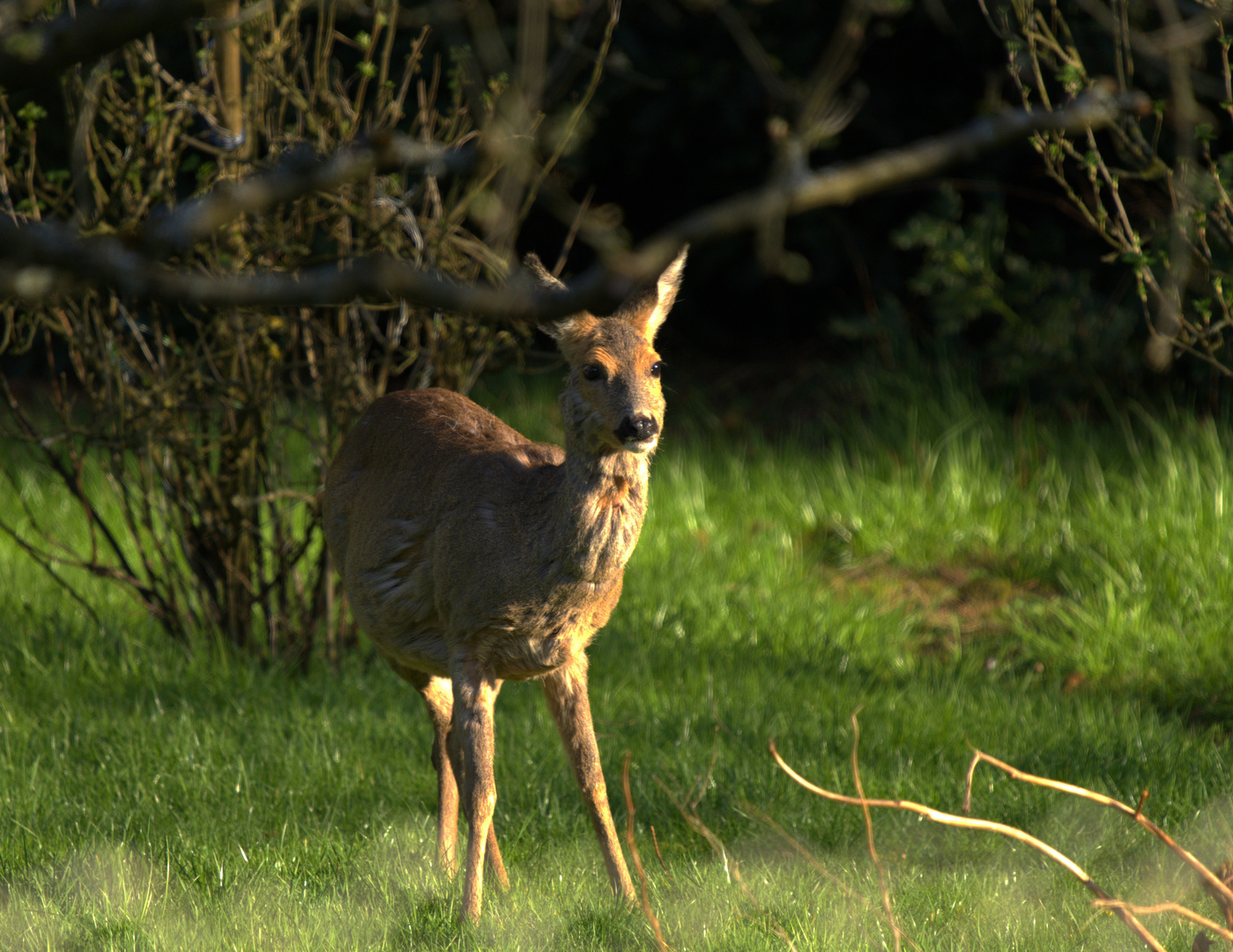 Besucher