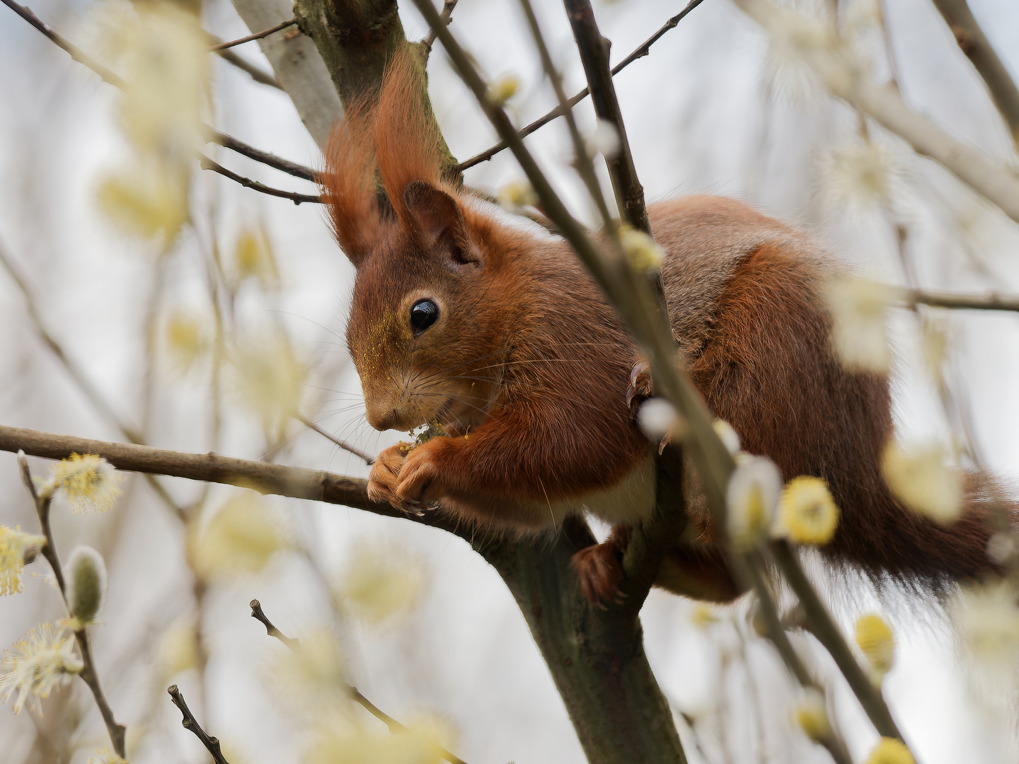 Besucher am Rande des Gartens III