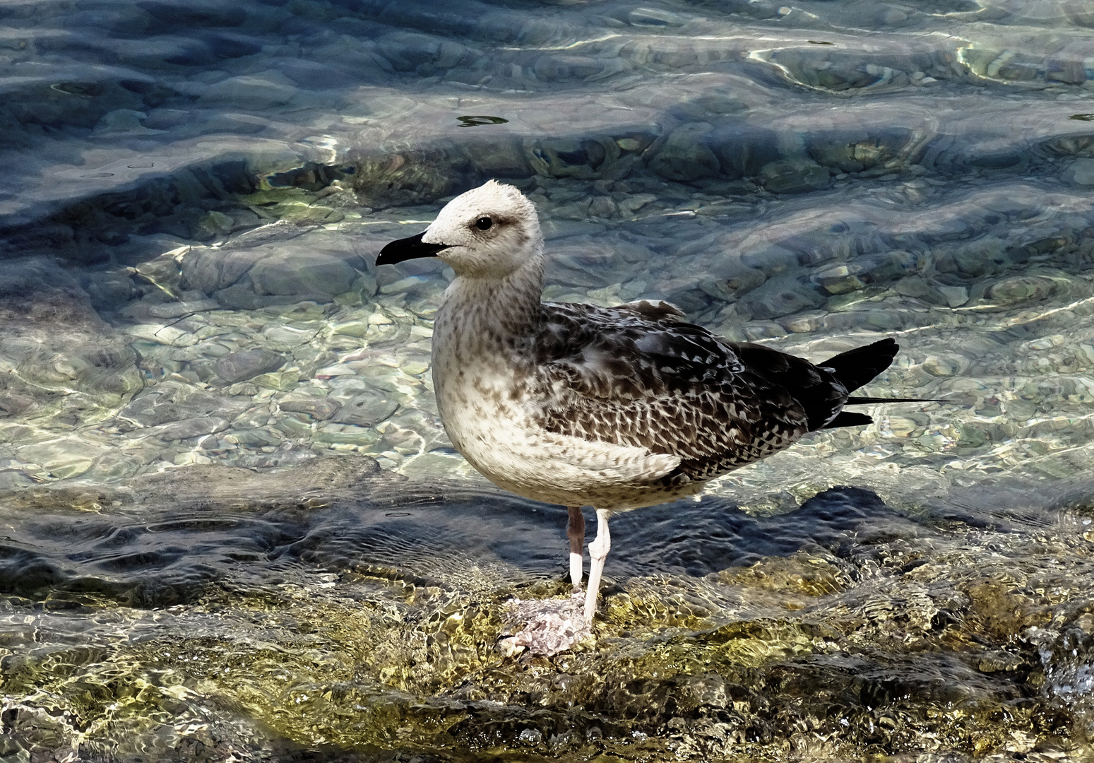 Besucher am Strand 