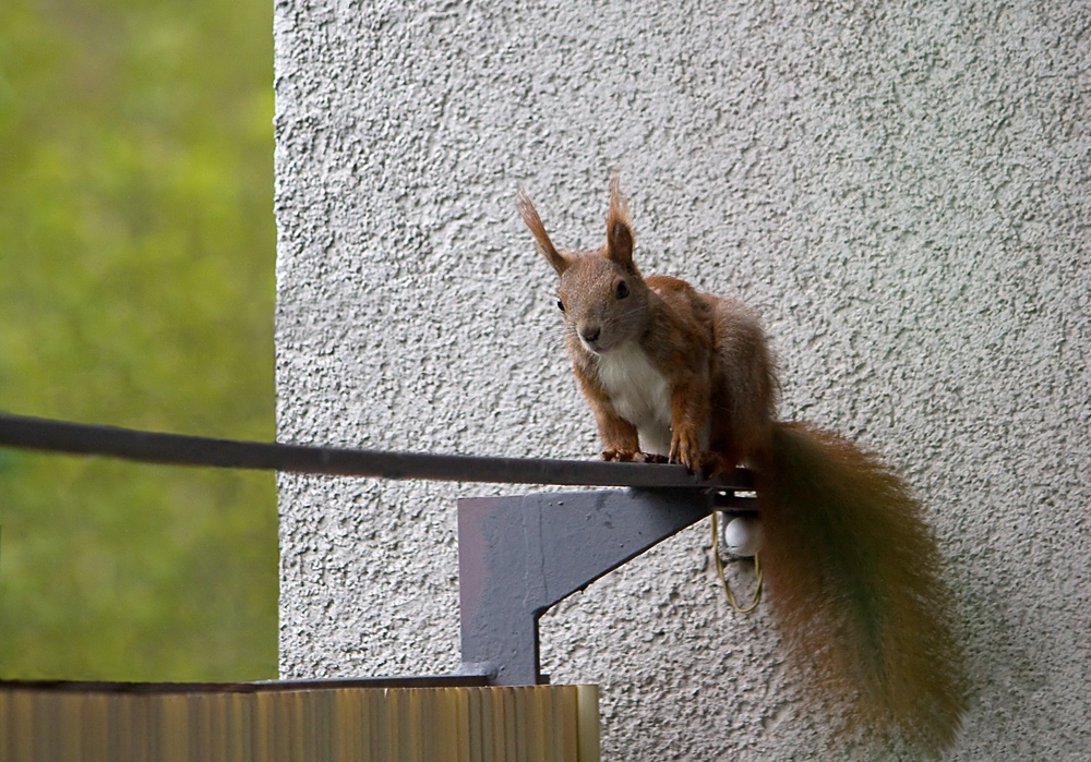 Besucher auf dem Balkon