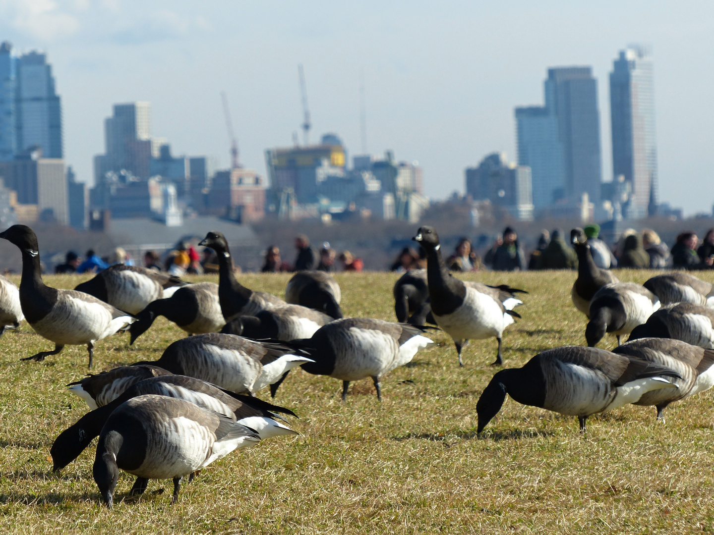 Besucher auf Liberty Island (2)