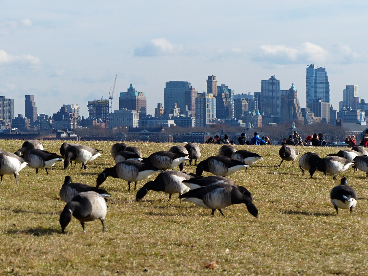 Besucher auf Liberty Island