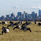 Besucher auf Liberty Island