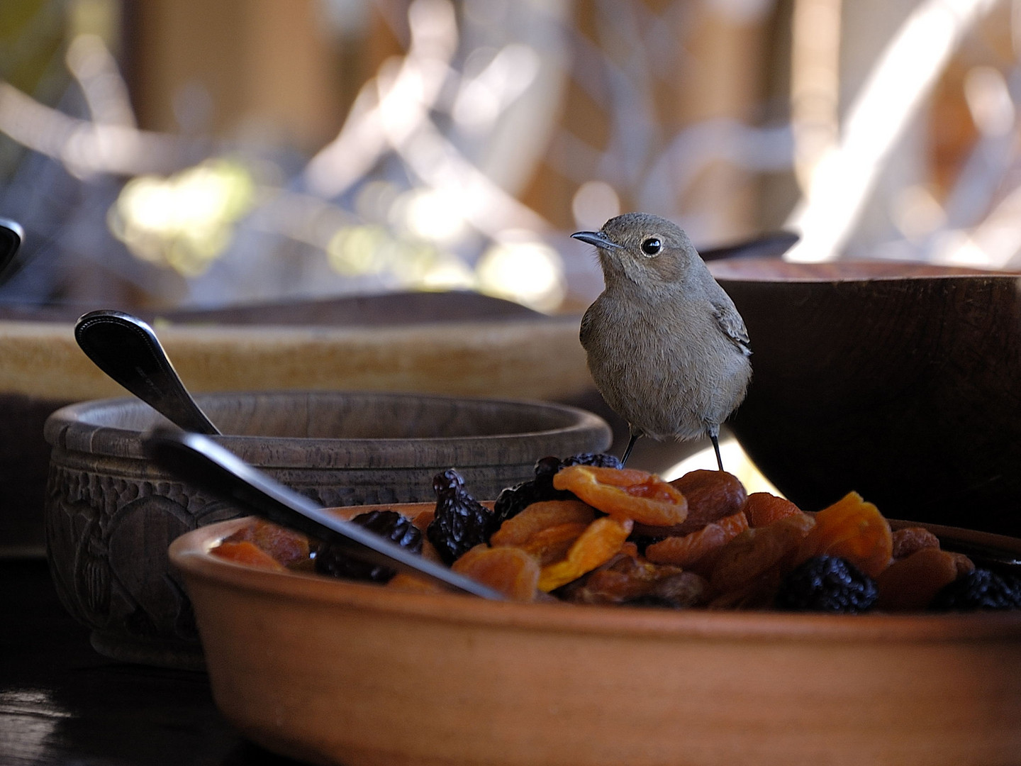 Besucher beim Frühstück