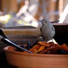 Besucher beim Frühstück