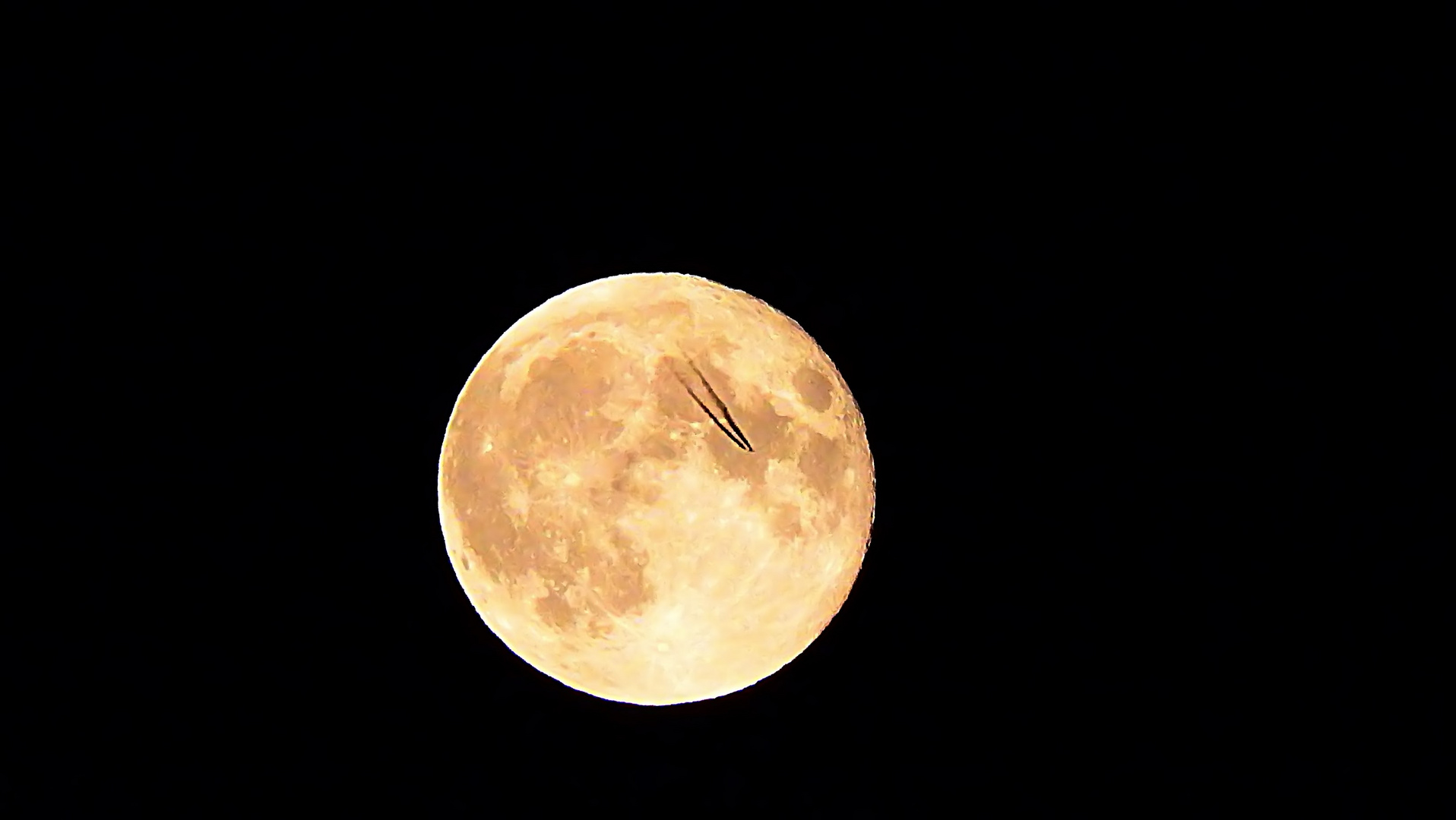 Besucher für den Mann im Mond