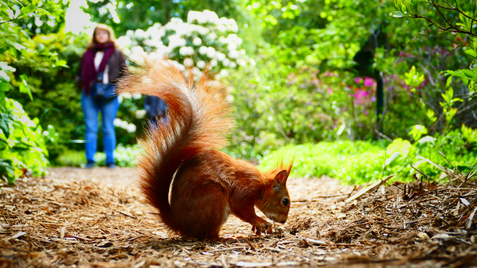 Besucher im Berggarten