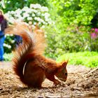 Besucher im Berggarten