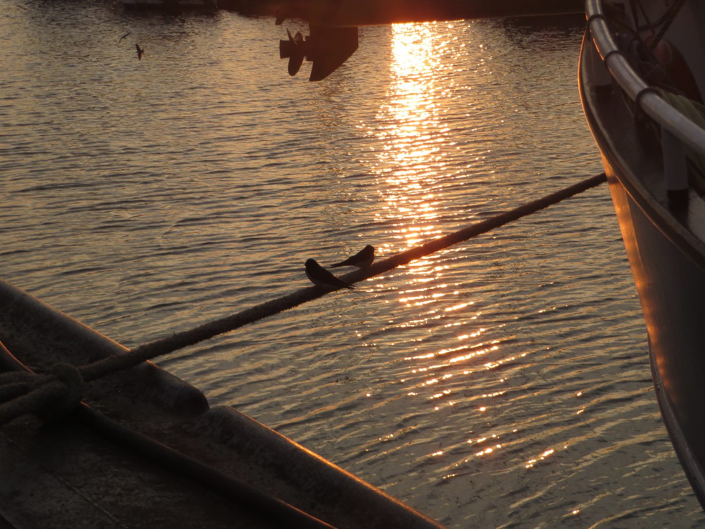 Besucher im Hafen