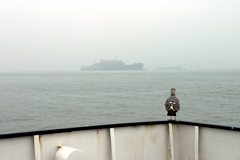 Besucher von Alcatraz