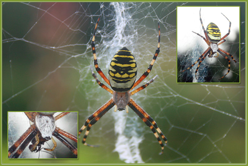 Besucher vor dem Fenster