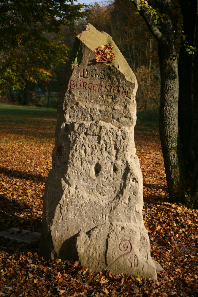 Besucherstein im Herbst