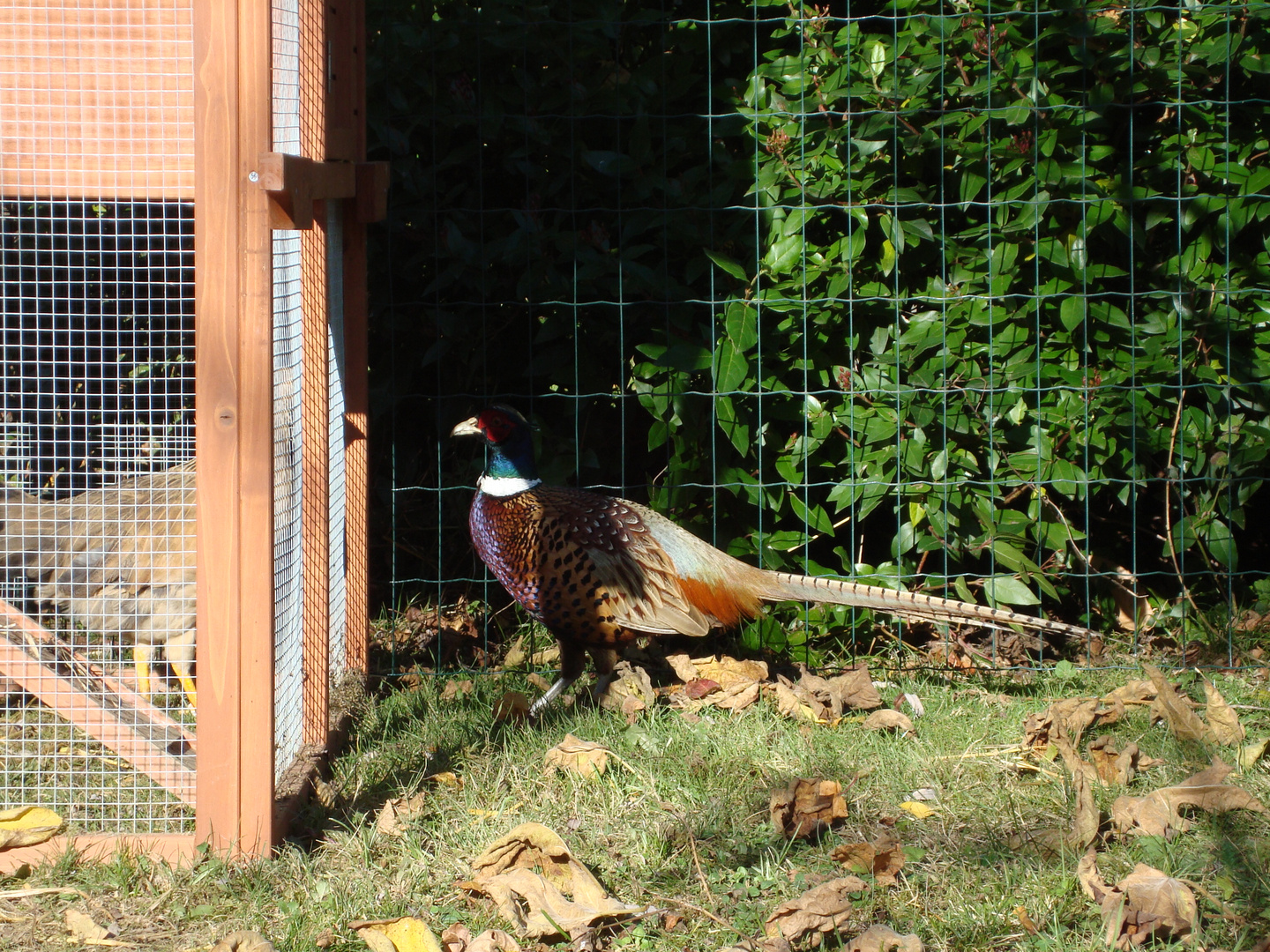 Besuchsstunde der Dame hinter Gittern