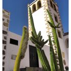 Betancuria/Fuerteventura