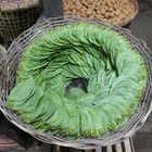 Betel Leaves for Betel Nut Chewing 