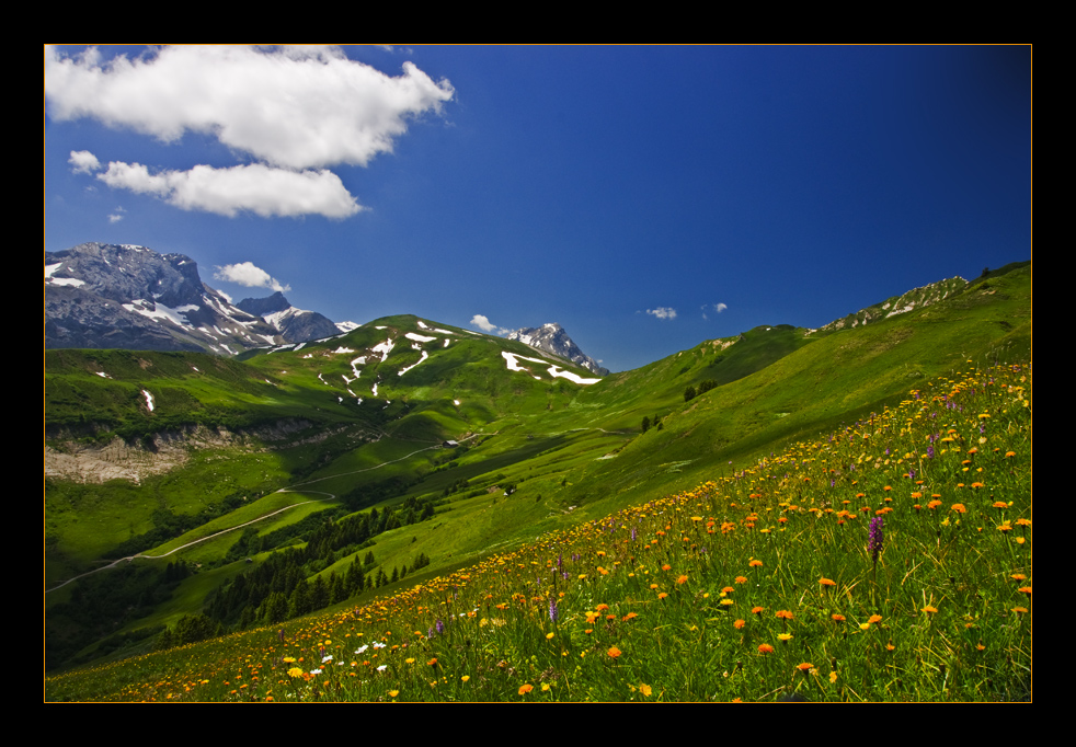 Betelberg-Blumenberg