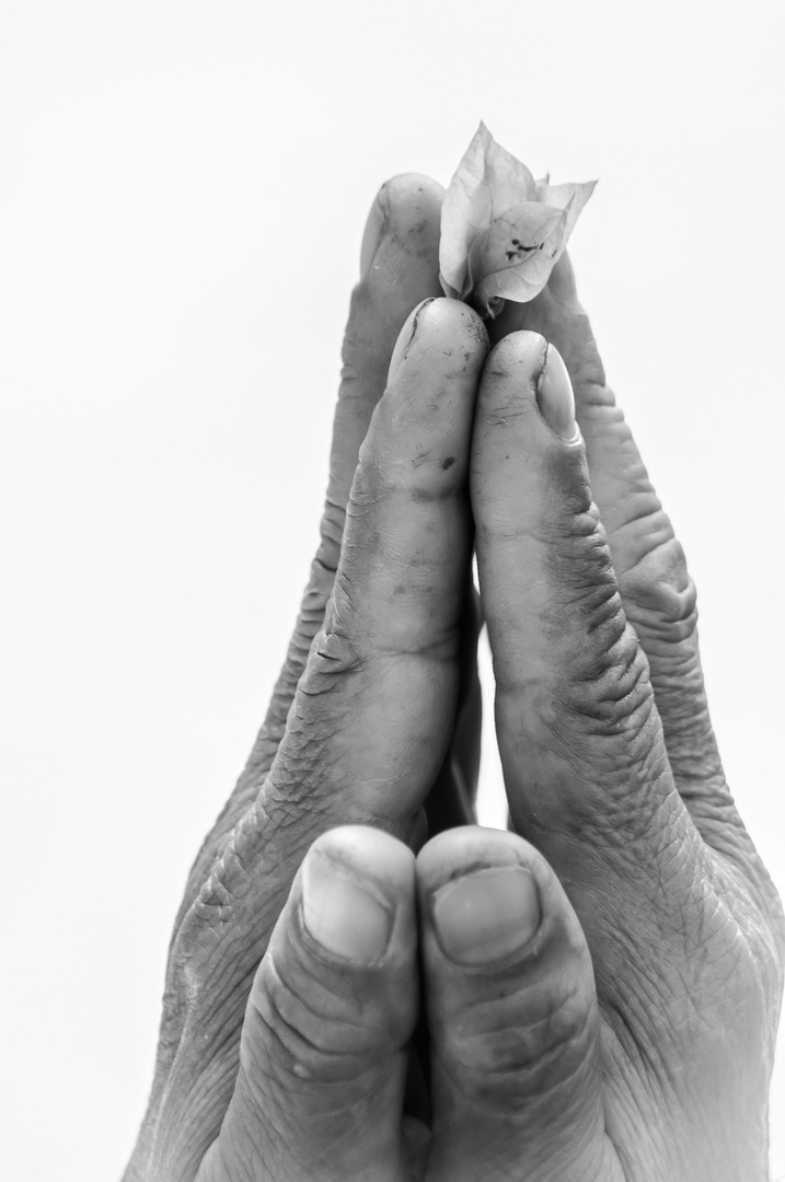 Betende Hände Foto &amp; Bild kirche, hand, glaube Bilder auf