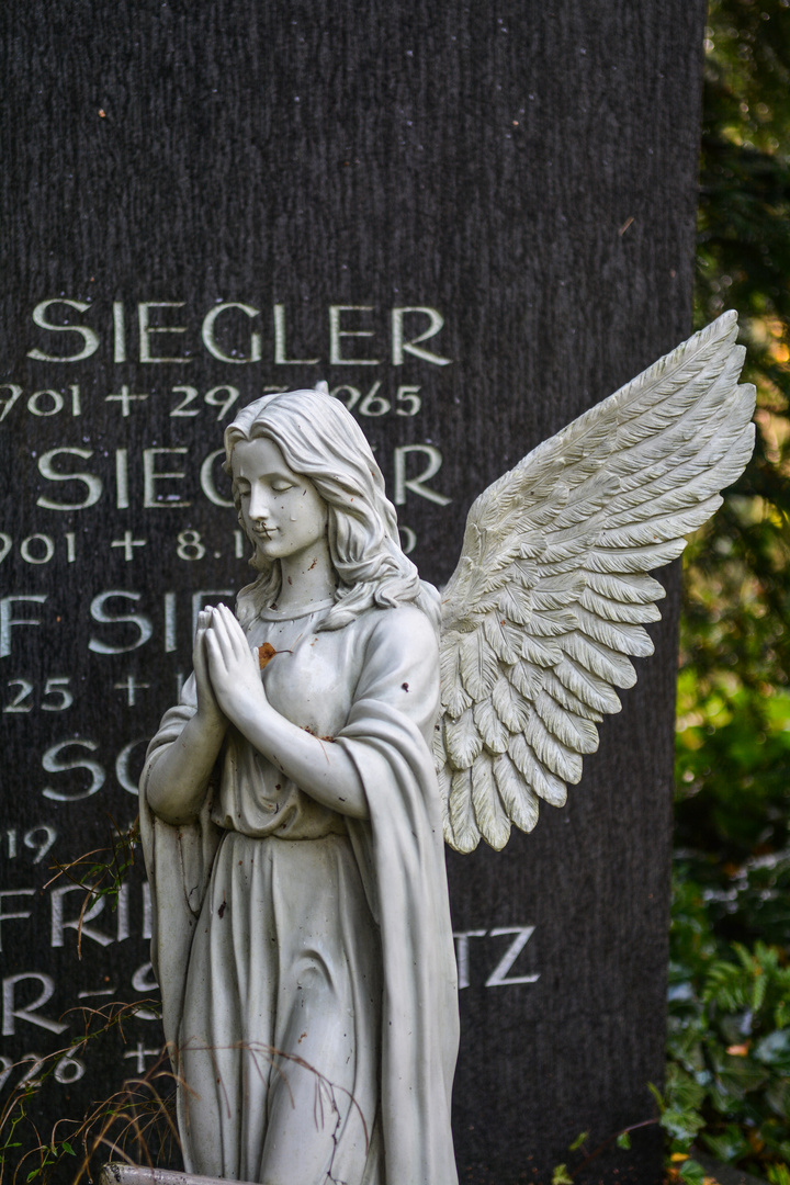 Betender Engel auf dem Frankfurter Hauptfriedhof