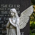 Betender Engel auf dem Frankfurter Hauptfriedhof