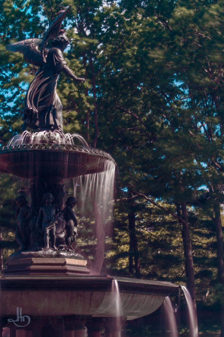 Bethesda Fountain