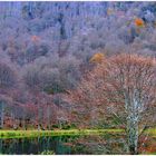 bethmale (ariege)