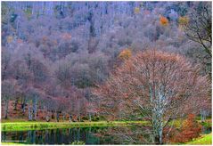 bethmale (ariege)