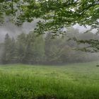 Bethmale - Ariège - France