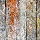 Beton-Mauer im Holz-Look