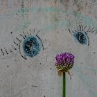 Beton, Streetart, Blume