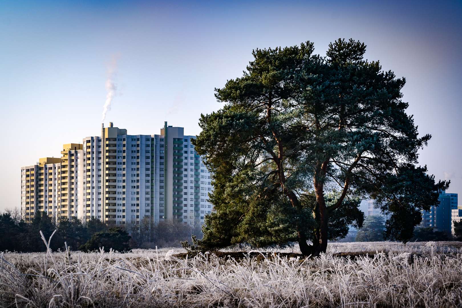 Beton vs Natur