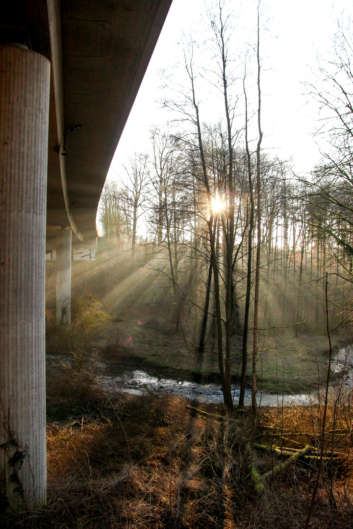 Beton vs. Natur